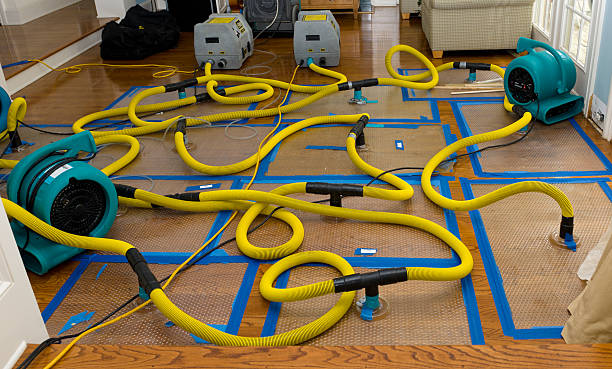 Professional Flood Damage Restoration technician working in Madison, NH